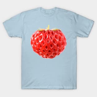 Fragaria x ananassa 'Framberry' Strawberry T-Shirt